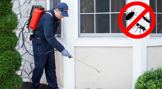 Yavuzeli Gümüşkurt İlaçlama böcek ilaçlama ve haşere kontrolü — ilaclama-tr.com